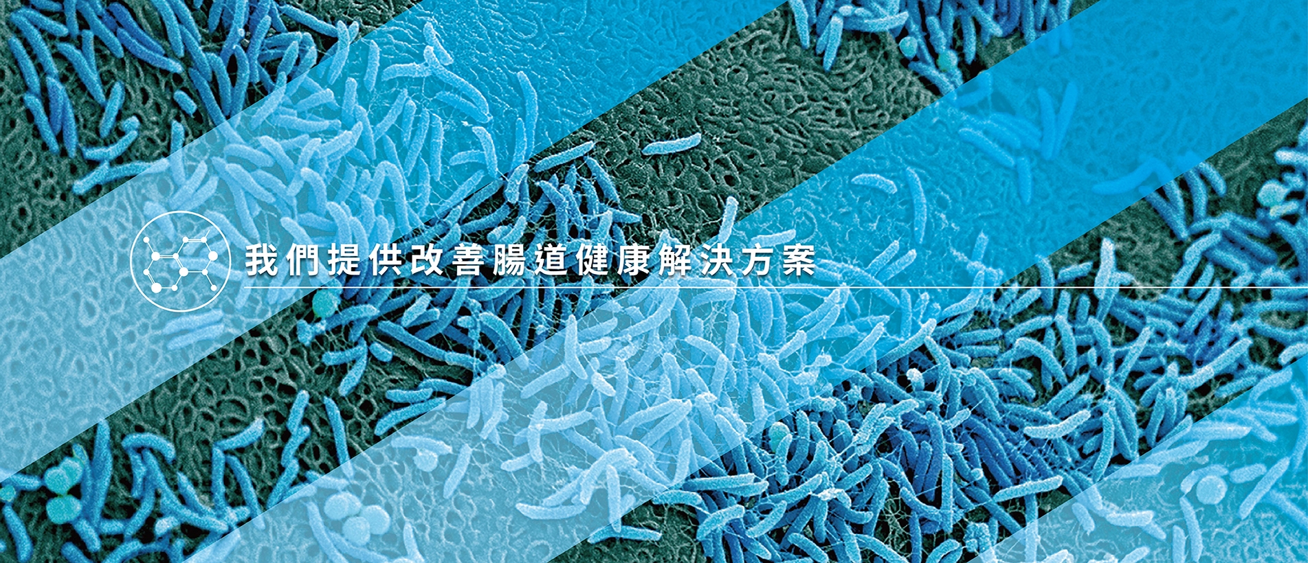 Probiotical index banner_INDEX ZH.jpg