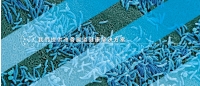 Probiotical index banner_INDEX ZH.jpg